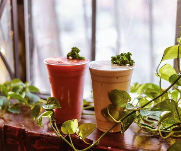 Brooklyn, New York Restaurant Photos Muse Cafe & Tea